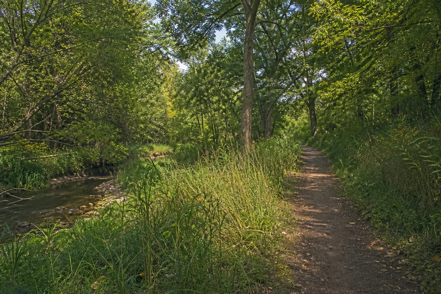 Preserve North trails through a Natural Heritage System corridor in North Oakville